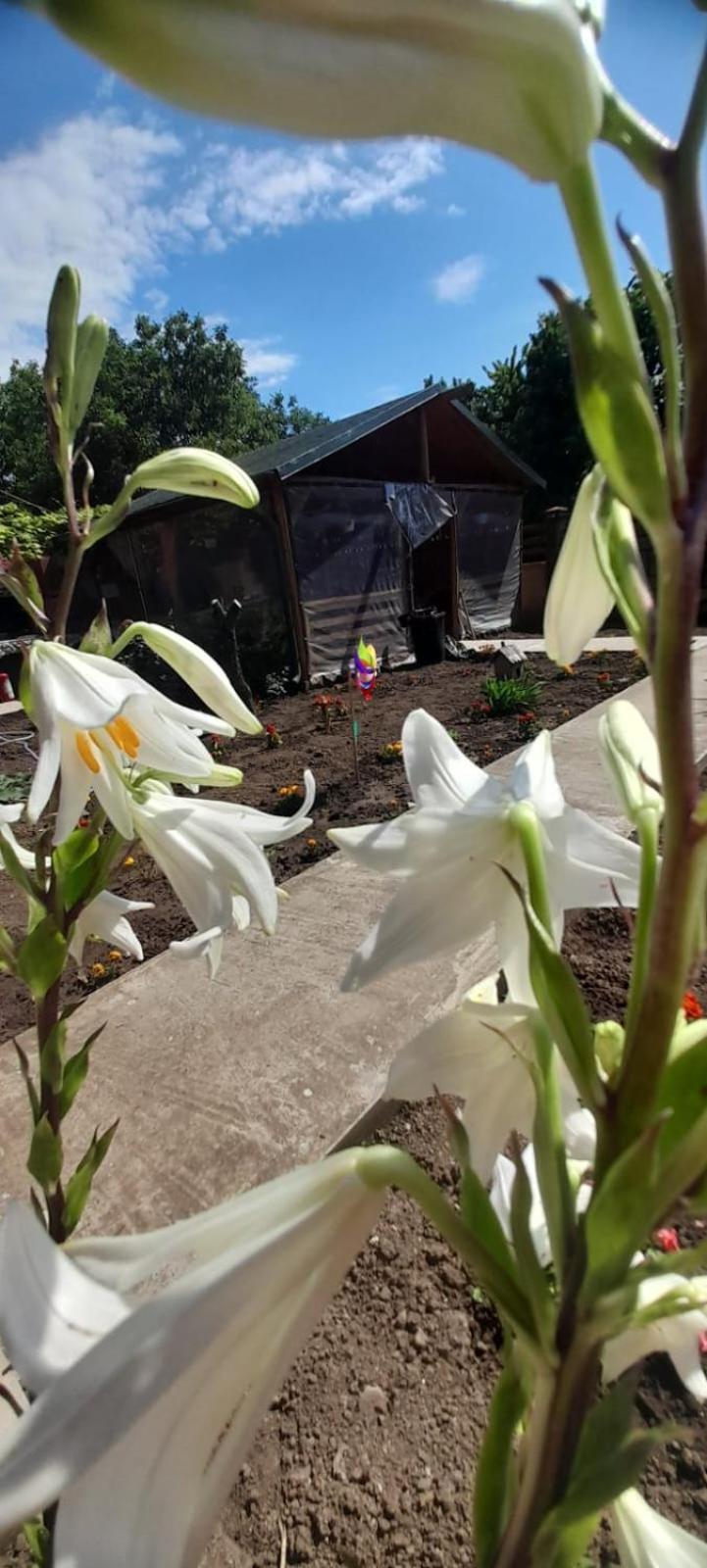 Apartamento Casa Calin Vama Veche Exterior foto