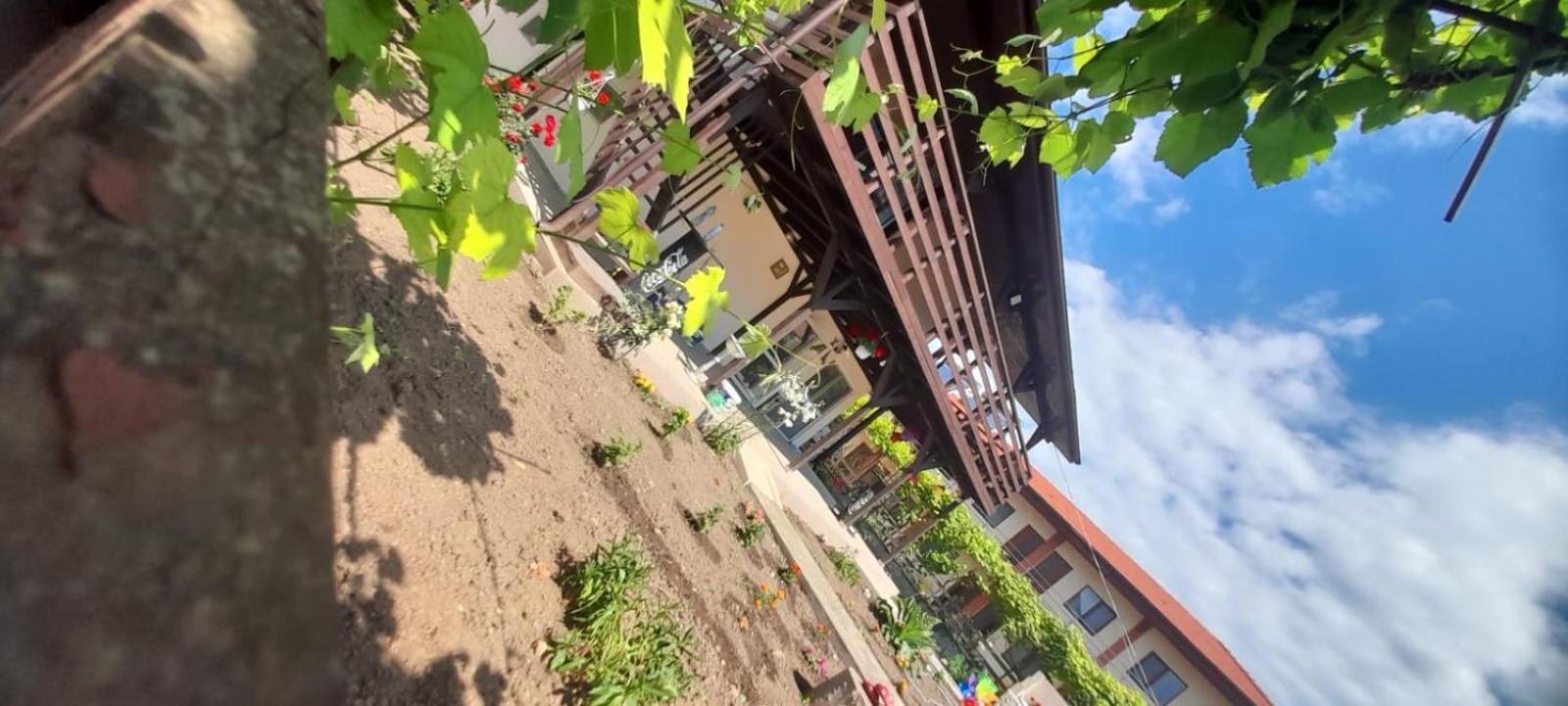 Apartamento Casa Calin Vama Veche Exterior foto