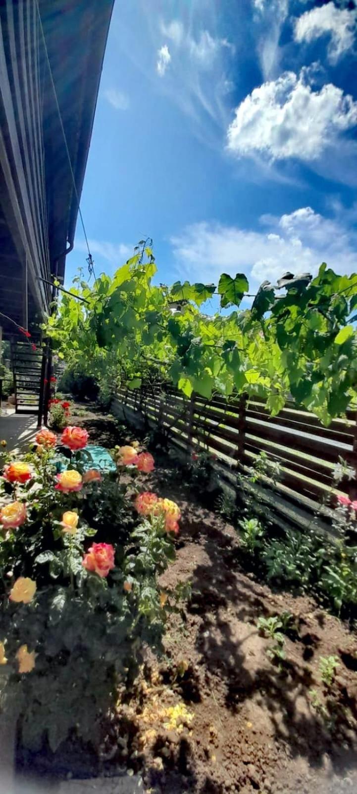 Apartamento Casa Calin Vama Veche Exterior foto
